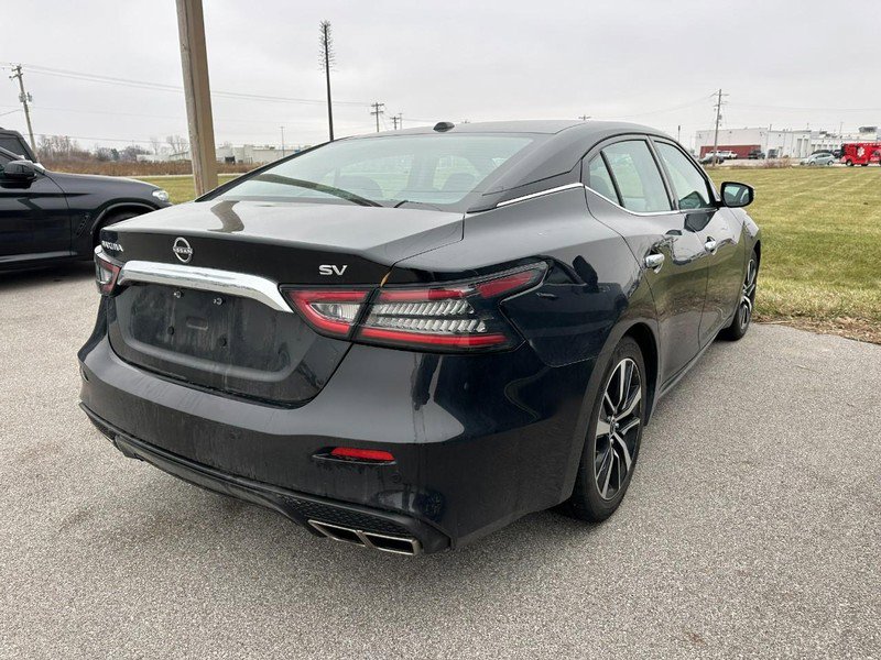 Used 2023 Nissan Maxima SV w/ Floor Mat Group image 3