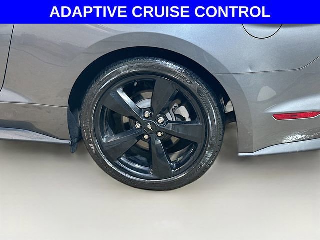 Certified 2023 Ford Mustang Coupe w/ Equipment Group 101A image 10