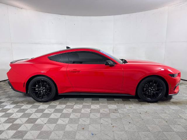 Certified 2025 Ford Mustang Coupe w/ Mustang Nite Pony Package RWD image 2