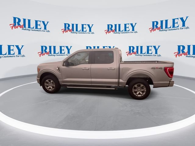 Certified 2023 Ford F150 XLT w/ Equipment Group 302A High AWD/4WD image 6