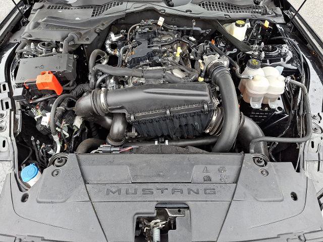 Certified 2024 Ford Mustang Premium image 26
