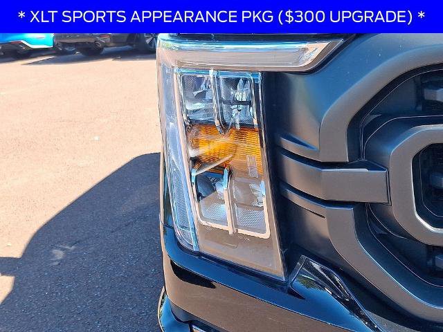Certified 2022 Ford F150 XLT w/ Equipment Group 302A High AWD/4WD image 9