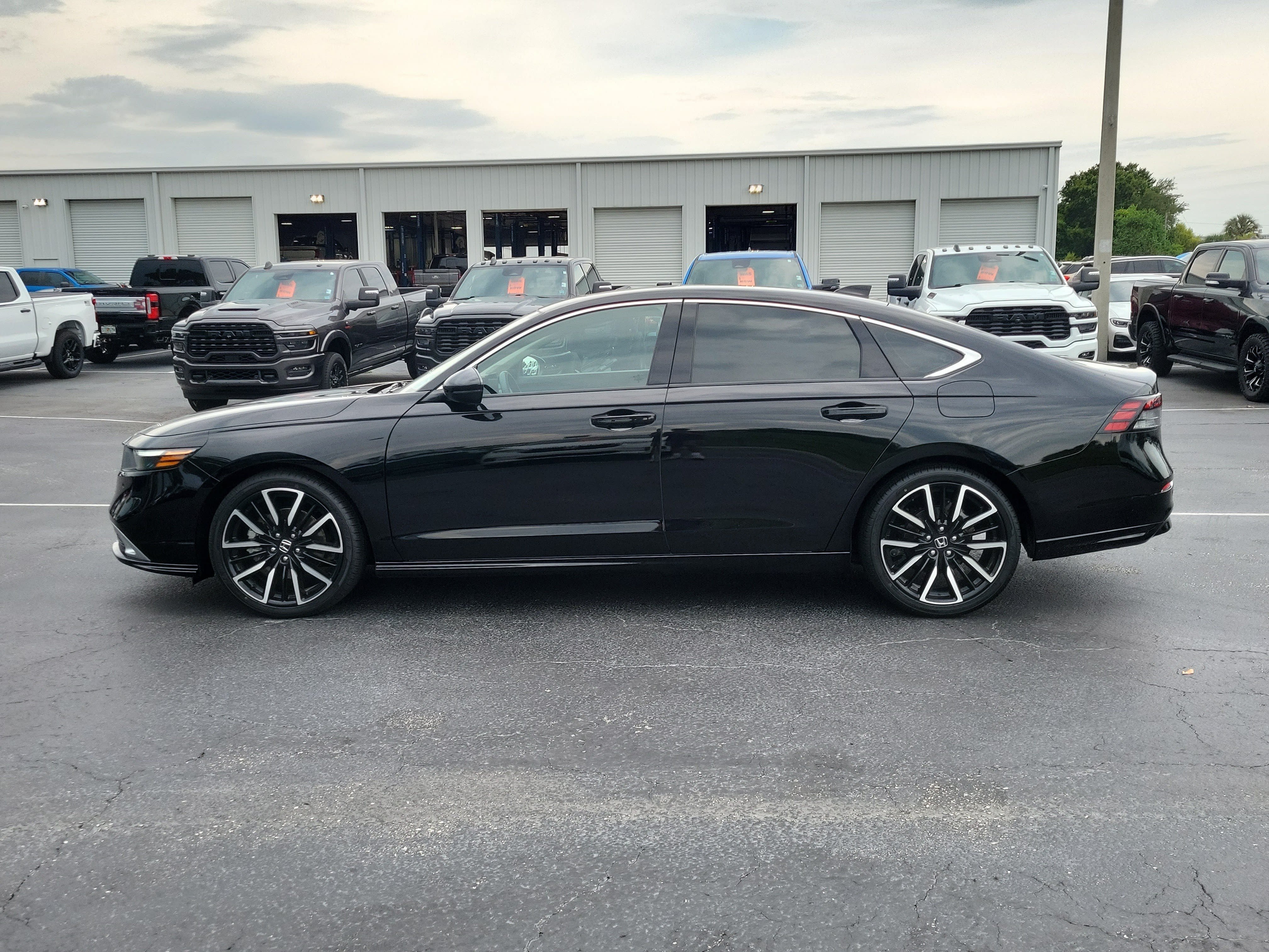 Used 2024 Honda Accord Touring image 6