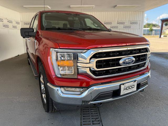 Certified 2023 Ford F150 XLT w/ Equipment Group 302A High AWD/4WD image 1