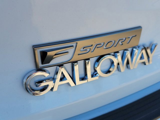 Used 2019 Lexus NX 300 F Sport image 11