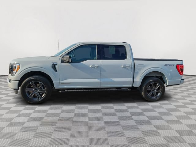 Certified 2023 Ford F150 XLT w/ Equipment Group 302A High AWD/4WD image 2