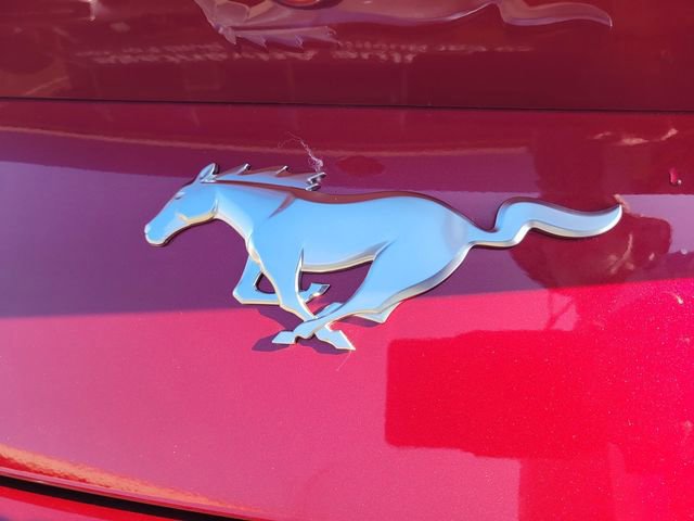 Certified 2025 Ford Mustang Premium image 7