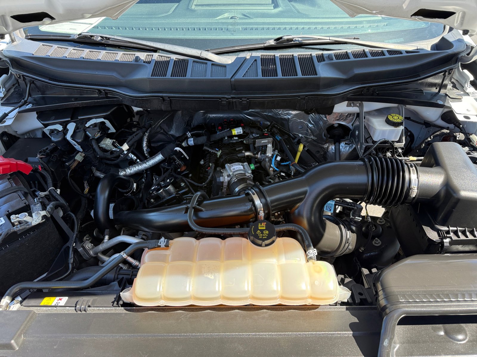Certified 2023 Ford F150 XL w/ STX Appearance Package RWD image 20