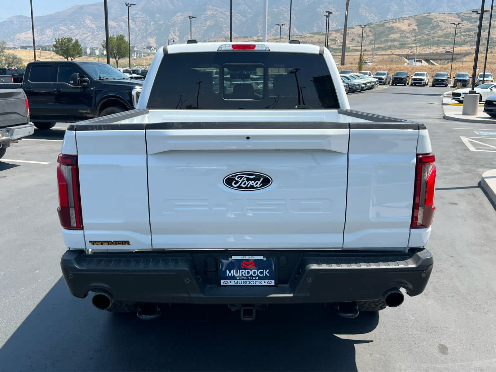 Certified 2025 Ford F150 Tremor w/ Equipment Group 402A High AWD/4WD image 9