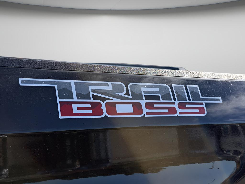 Used 2022 Chevrolet Silverado 1500 Custom Trail Boss AWD/4WD image 14