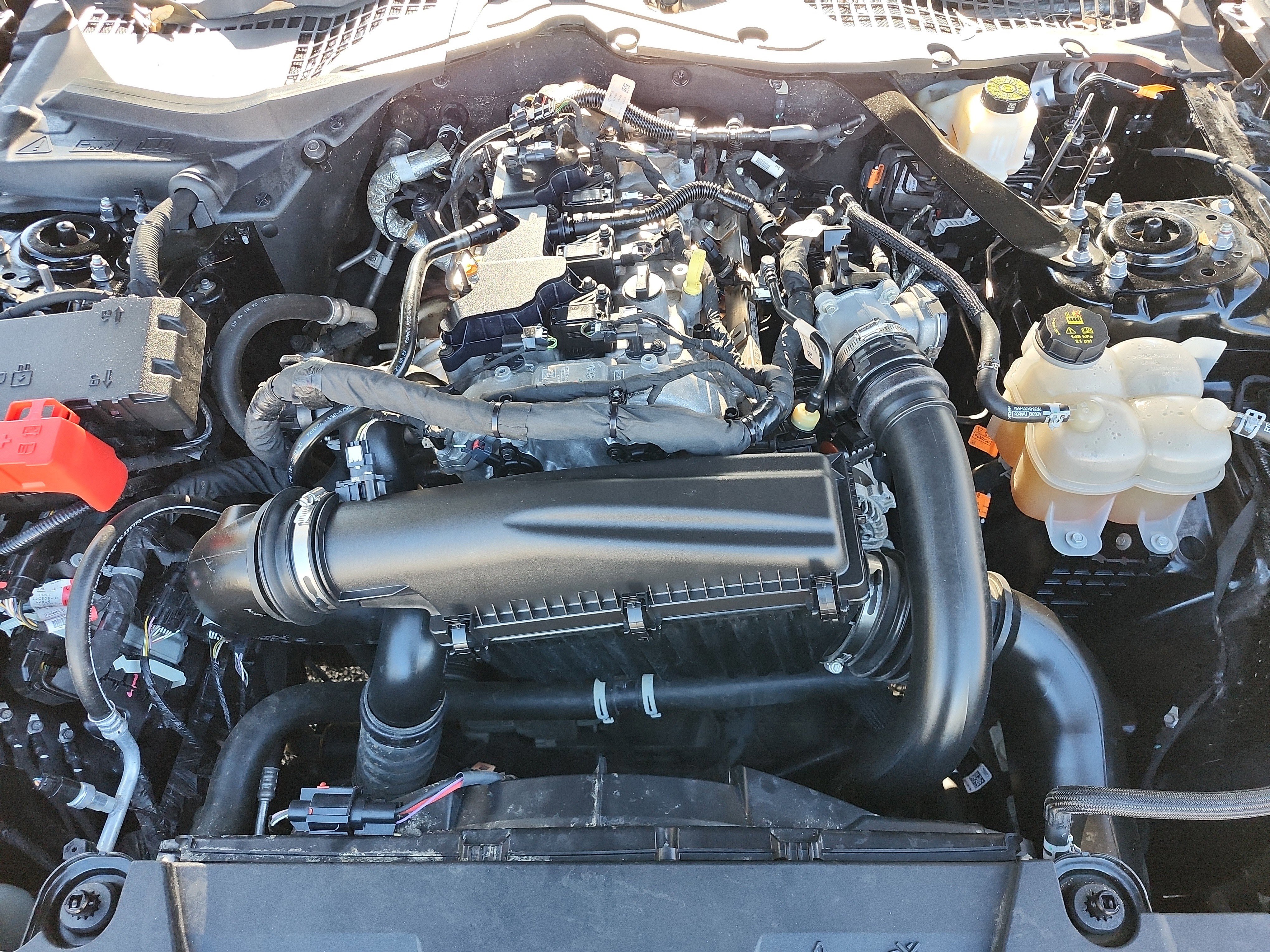 Certified 2024 Ford Mustang Premium image 22