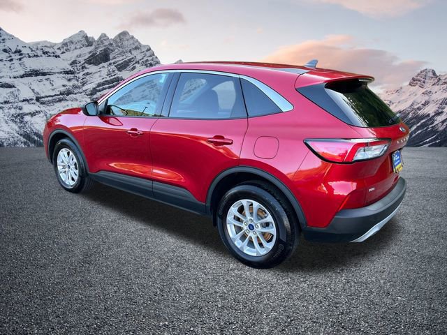 Certified 2022 Ford Escape SE w/ Cold Weather Package image 5