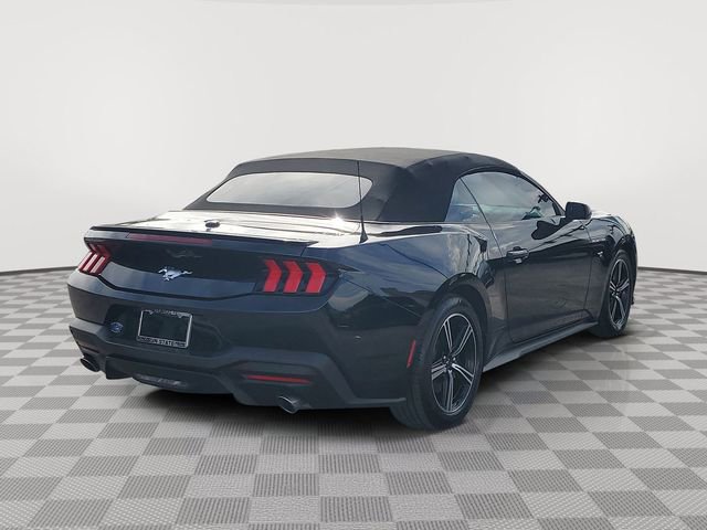 Certified 2024 Ford Mustang Premium image 4