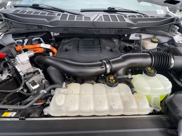 Certified 2023 Ford F150 XLT w/ Equipment Group 302A High image 11