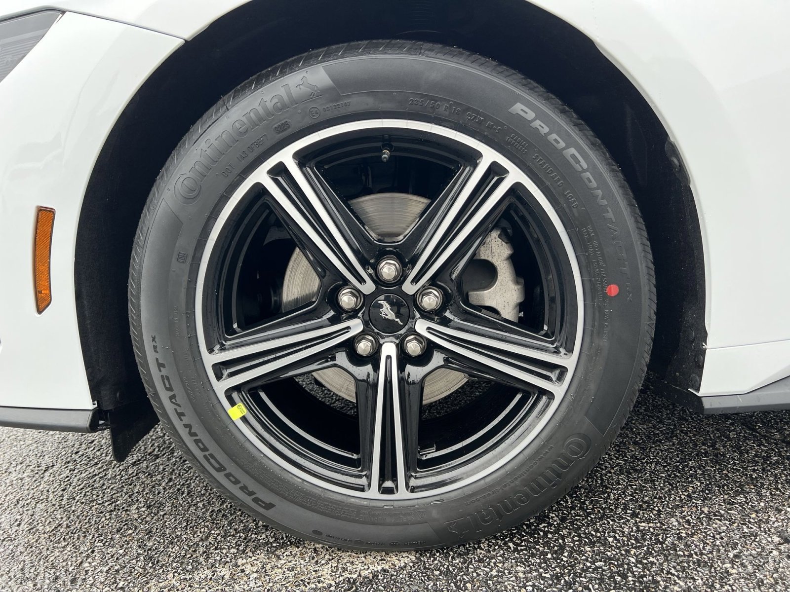 Certified 2025 Ford Mustang Coupe image 12