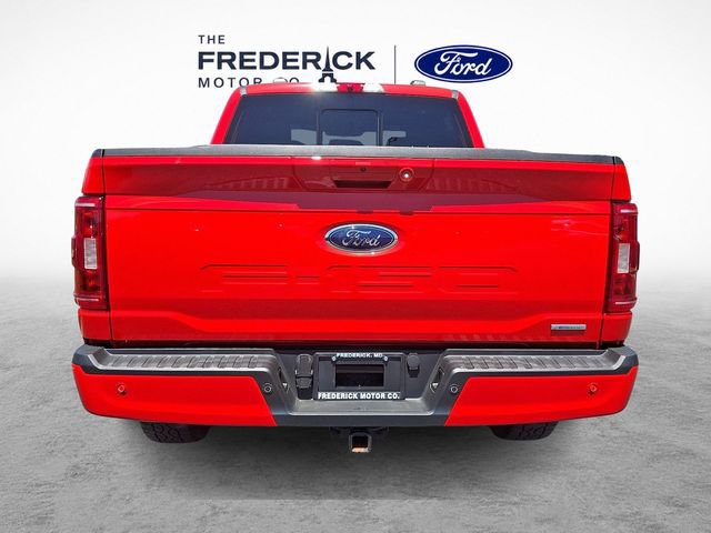 Certified 2022 Ford F150 XLT w/ Equipment Group 302A High AWD/4WD image 5