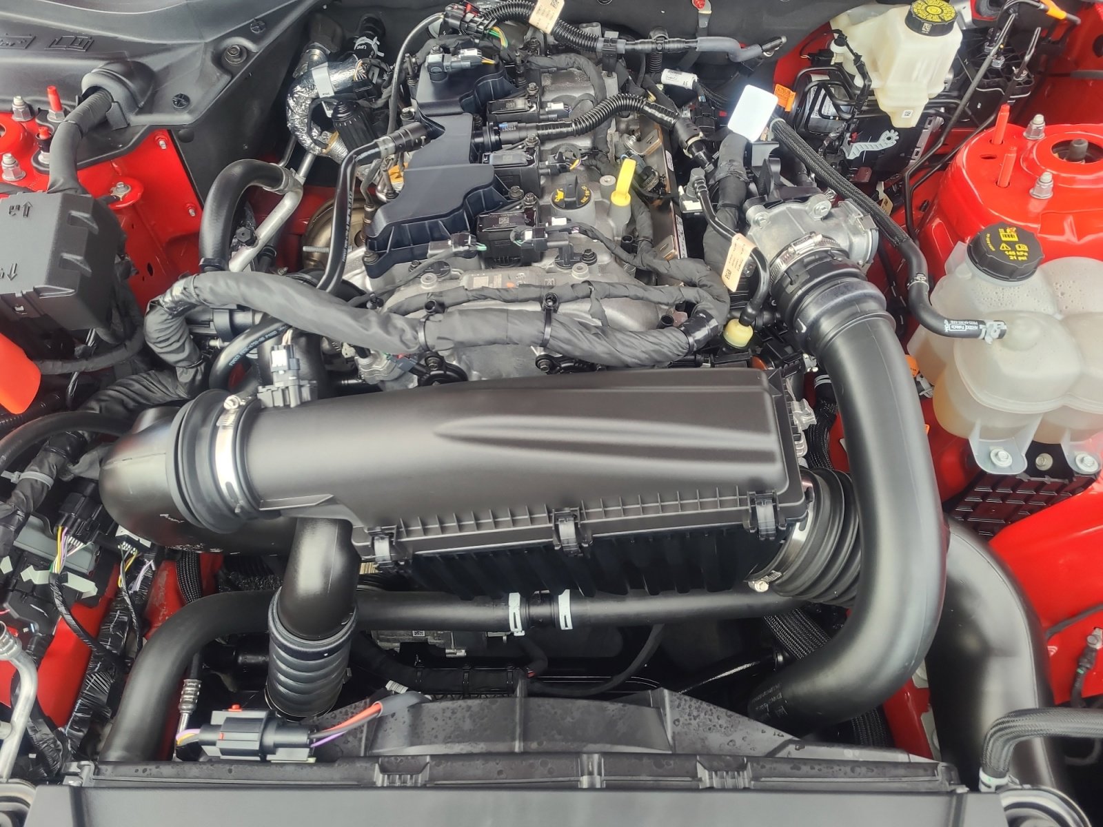 Certified 2024 Ford Mustang Coupe image 22