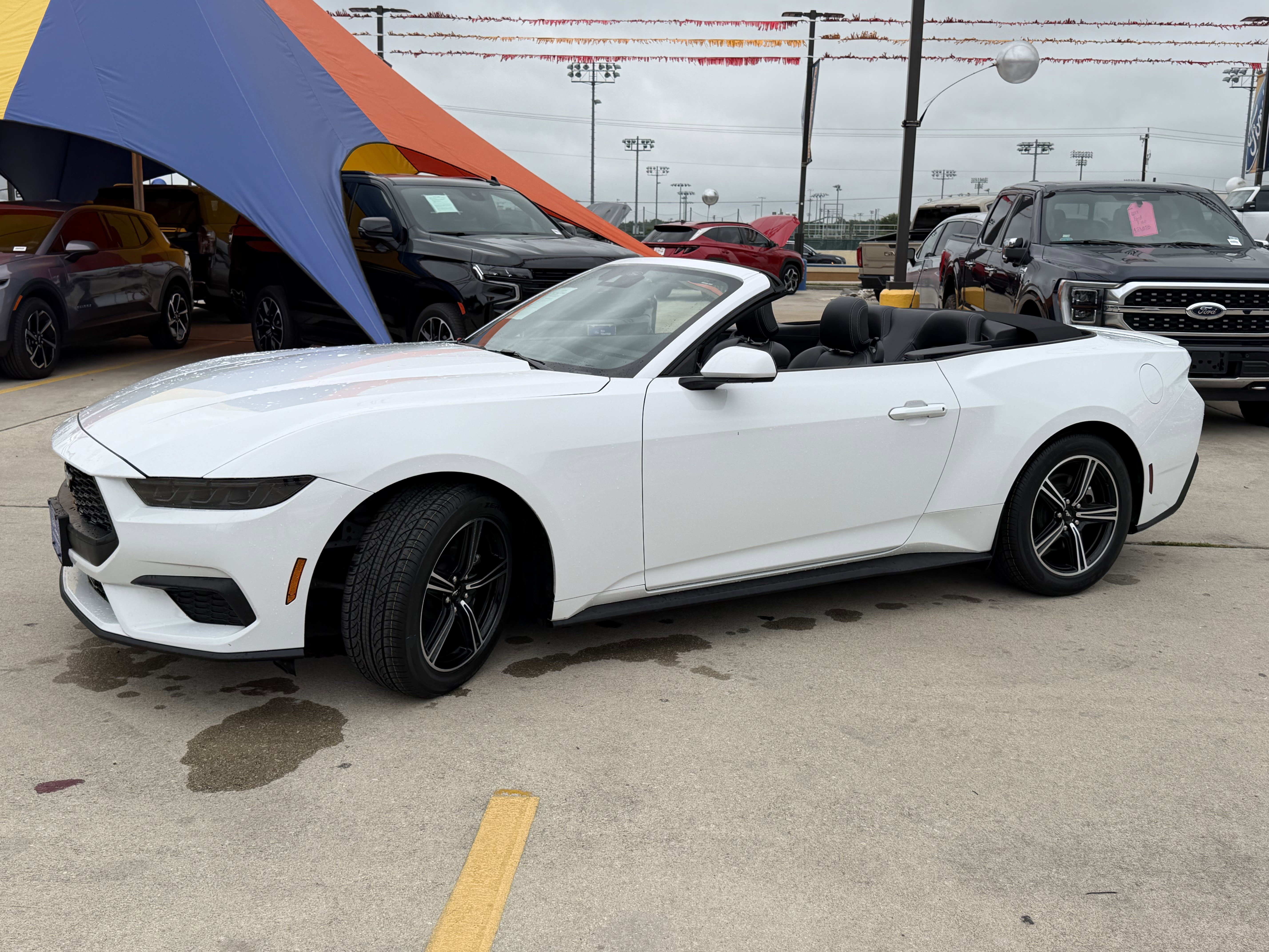 Certified 2025 Ford Mustang Premium RWD image 8