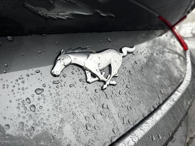 Certified 2025 Ford Mustang Convertible image 39