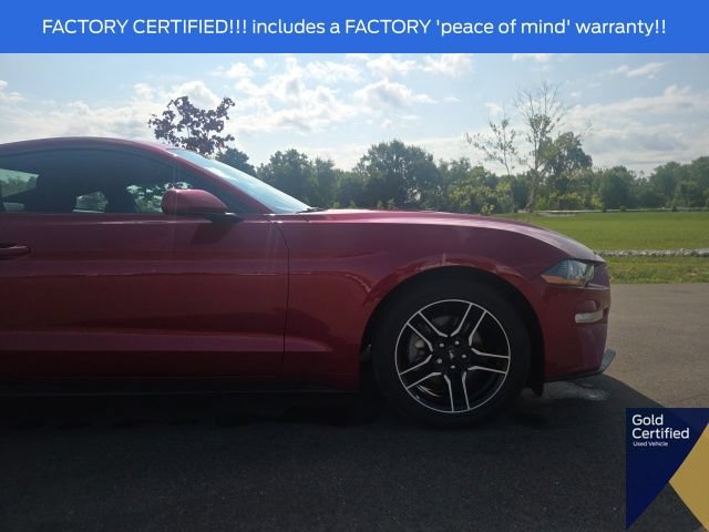 Certified 2023 Ford Mustang Coupe w/ Equipment Group 101A RWD image 6