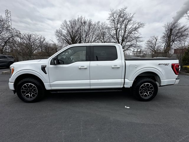 Certified 2023 Ford F150 XLT w/ Equipment Group 302A High image 8