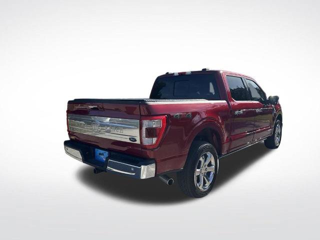 Certified 2023 Ford F150 King Ranch w/ Equipment Group 601A High AWD/4WD image 5