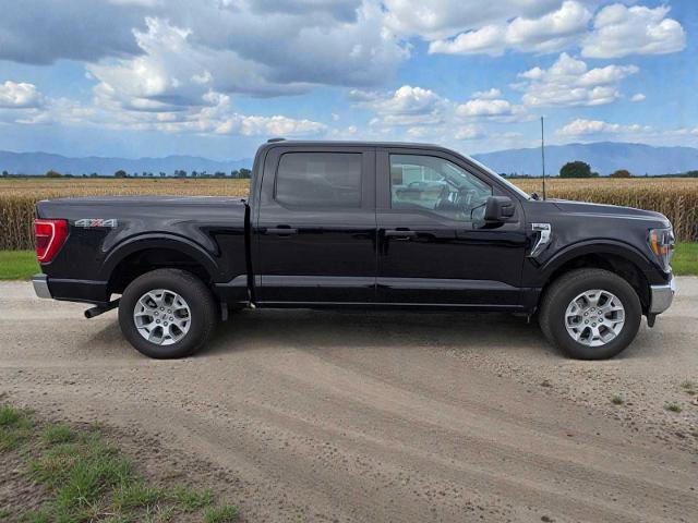 Certified 2023 Ford F150 XLT image 2