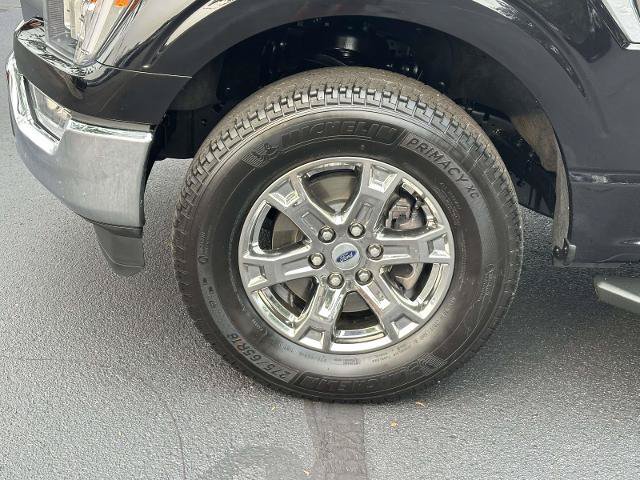 Certified 2023 Ford F150 XLT w/ Equipment Group 302A High AWD/4WD image 6