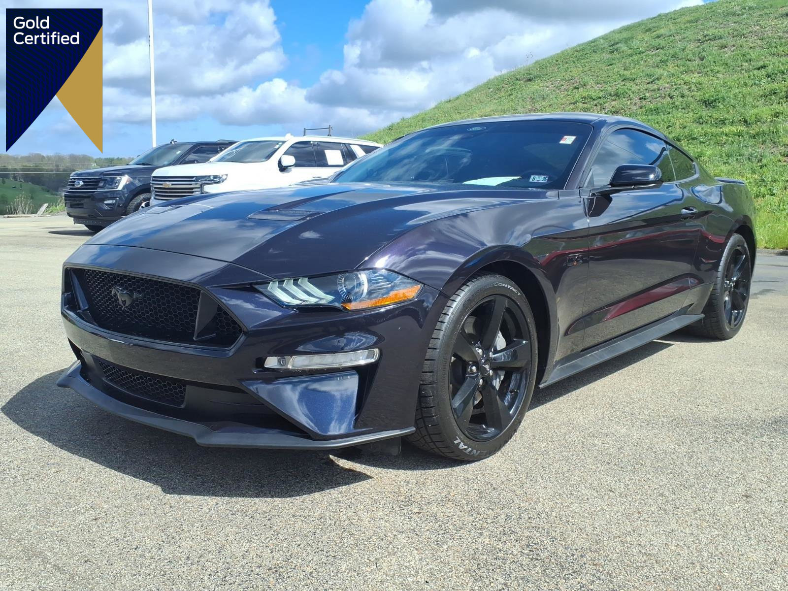 Certified 2023 Ford Mustang GT w/ Mustang Nite Pony Package RWD image 1