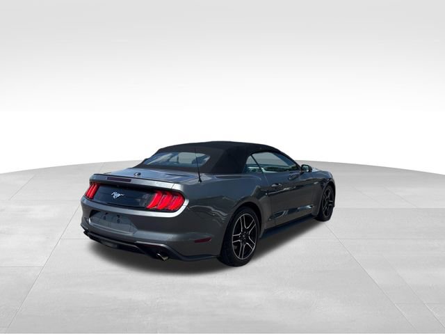 Certified 2023 Ford Mustang Premium w/ Equipment Group 201A image 4