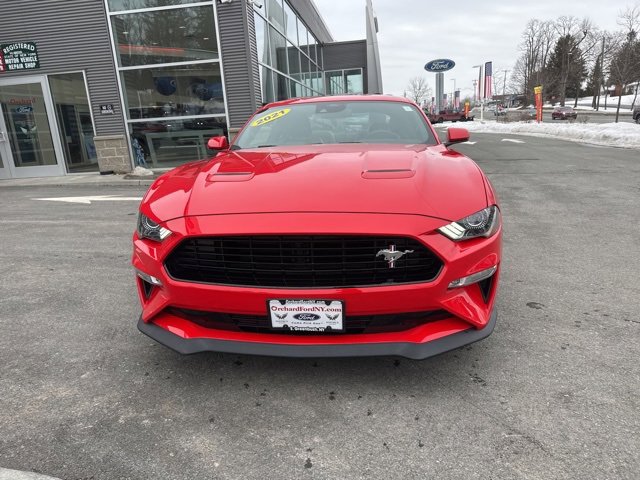 Certified 2021 Ford Mustang GT Premium w/ Equipment Group 401A image 3