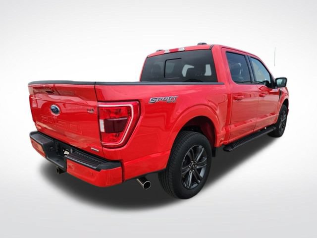 Certified 2023 Ford F150 XLT w/ Equipment Group 302A High AWD/4WD image 8