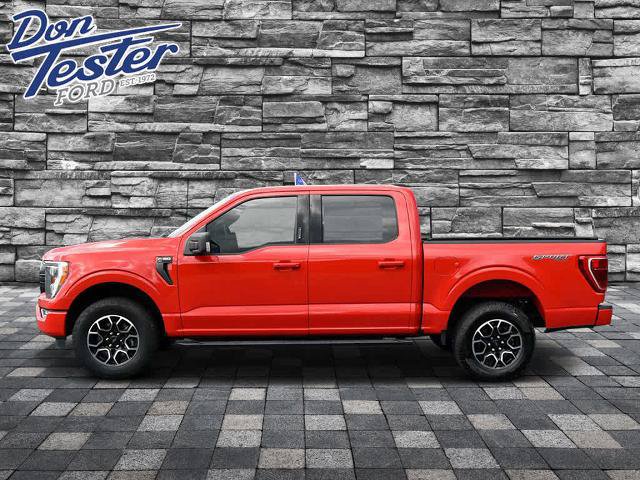 Certified 2023 Ford F150 XLT w/ Equipment Group 302A High AWD/4WD image 6