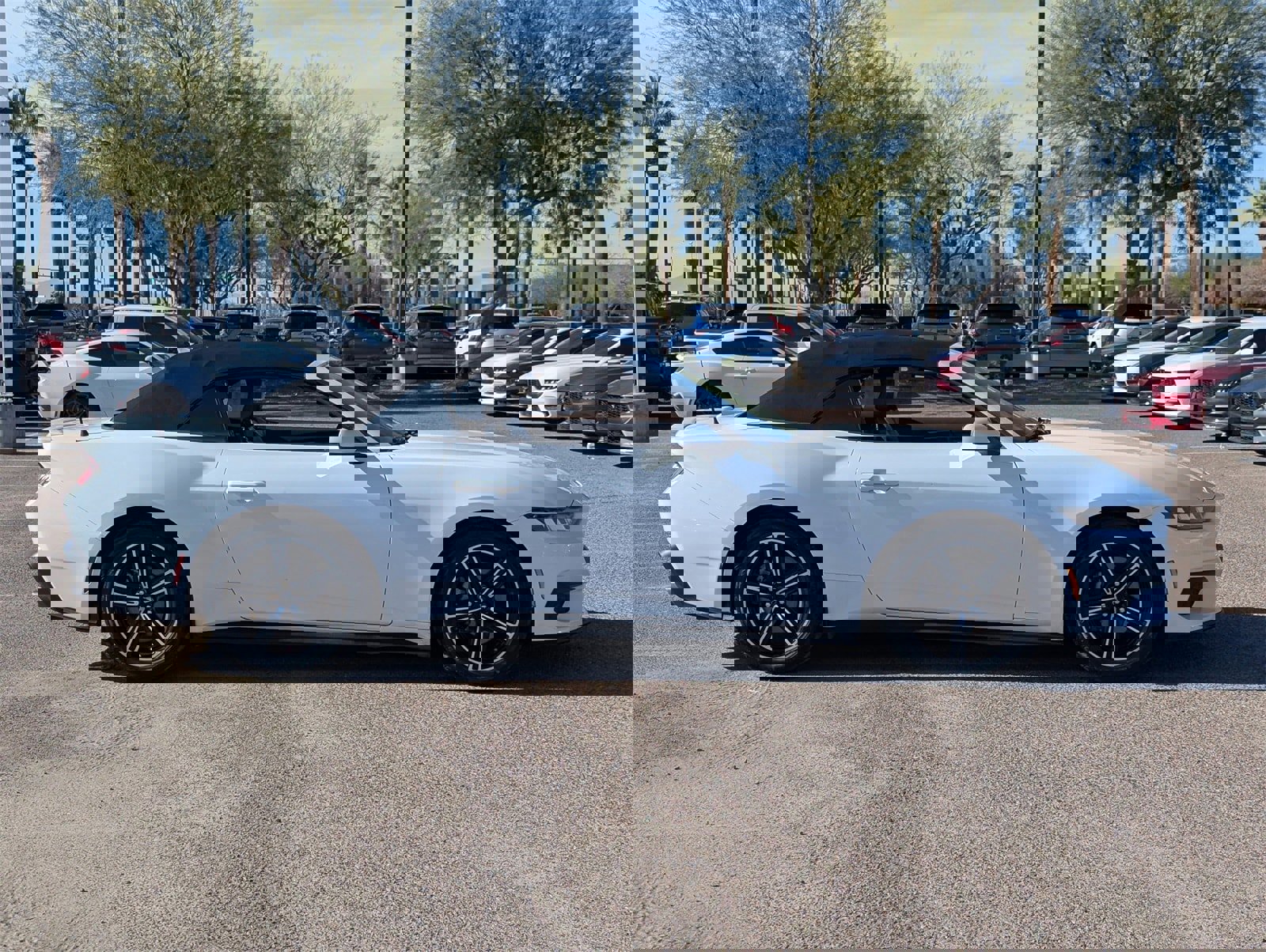 Certified 2024 Ford Mustang Premium image 6