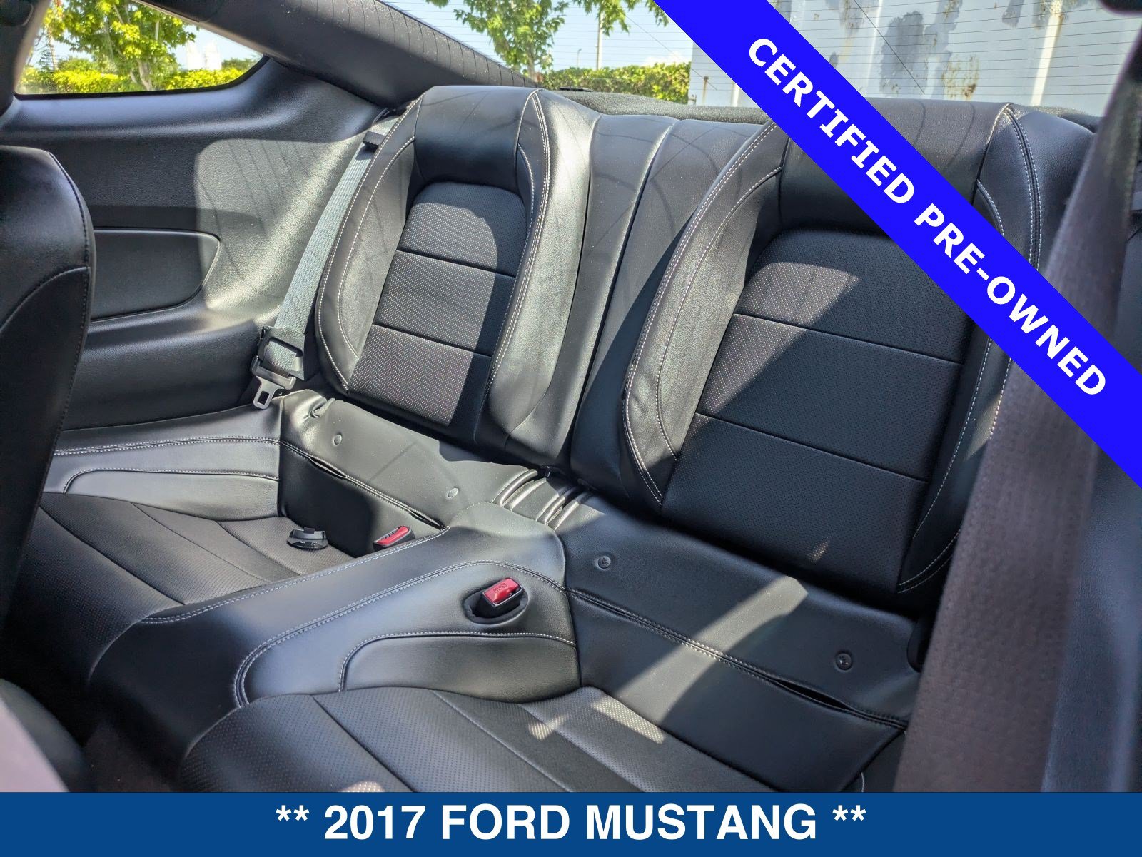 Certified 2017 Ford Mustang GT Premium w/ Equipment Group 401A RWD image 14