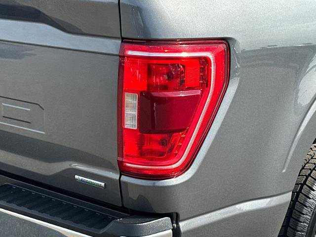 Certified 2023 Ford F150 XLT RWD image 35