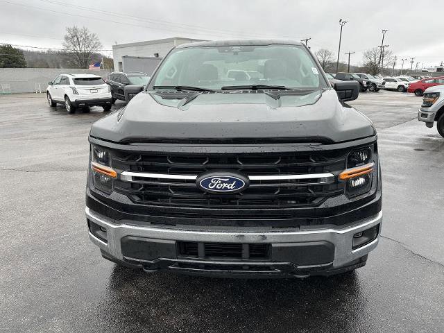 Certified 2025 Ford F150 XLT w/ Equipment Group 301A Standard image 8