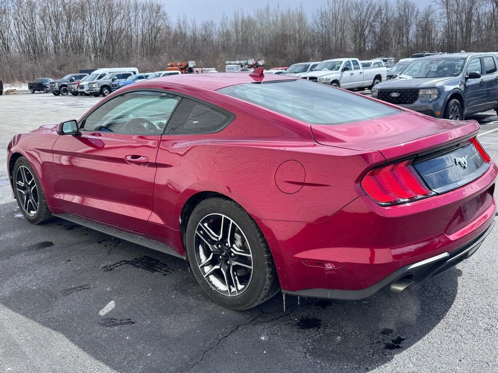 Certified 2021 Ford Mustang EcoBoost w/ Equipment Group 101A image 7