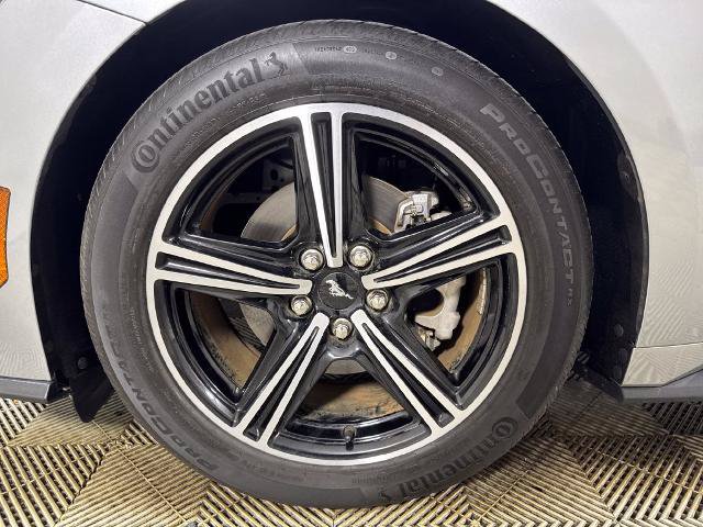 Certified 2024 Ford Mustang Coupe RWD image 14