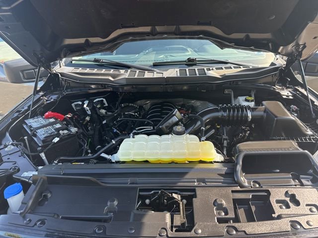 Certified 2025 Ford F150 XLT w/ Equipment Group 301A Standard AWD/4WD image 23