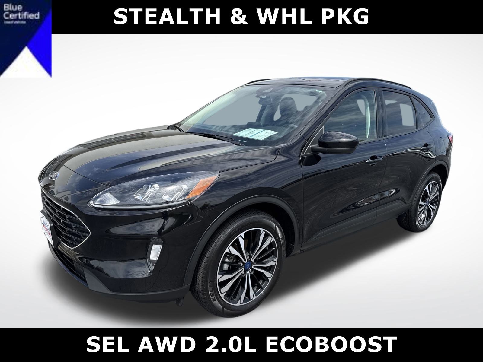 Certified 2022 Ford Escape SEL w/ SEL Stealth AWD Package image 7