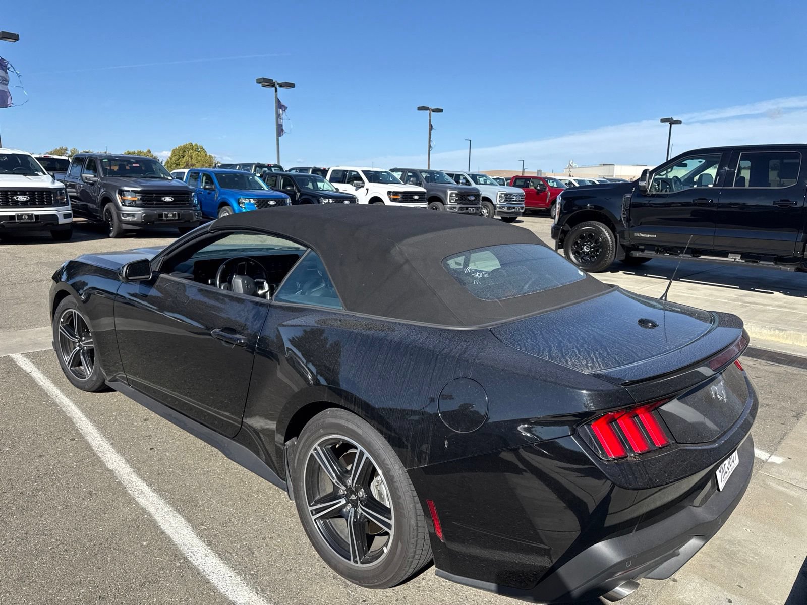 Certified 2025 Ford Mustang Premium RWD image 2