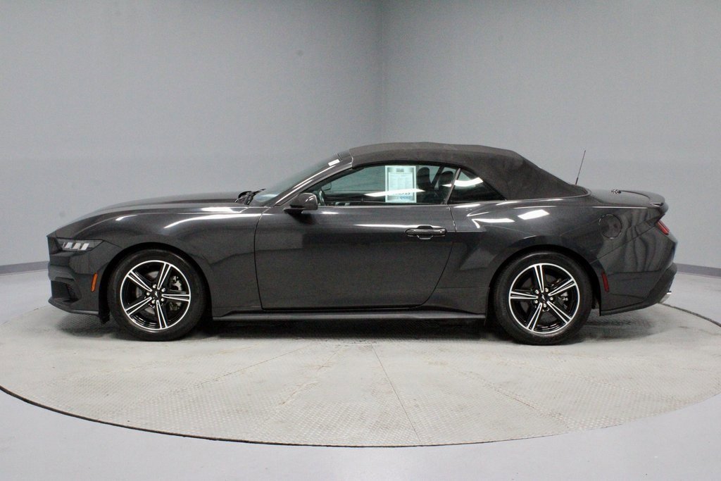 Certified 2024 Ford Mustang Premium image 2