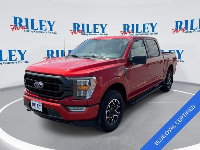 Certified 2023 Ford F150 XLT w/ Equipment Group 302A High AWD/4WD image 1