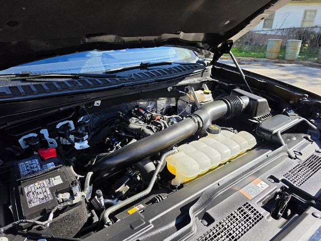 Certified 2025 Ford Expedition Active image 18