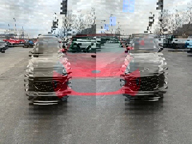 Certified 2022 Ford Escape SEL image 8