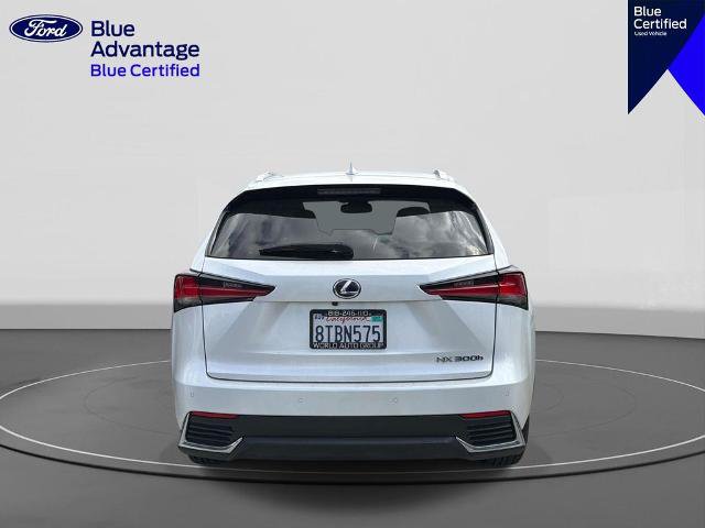 Used 2020 Lexus NX 300h AWD w/ Premium Package image 5