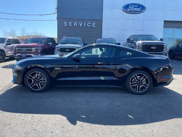 Certified 2021 Ford Mustang GT Premium w/ Equipment Group 401A RWD image 2