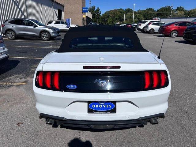 Certified 2023 Ford Mustang Premium image 6