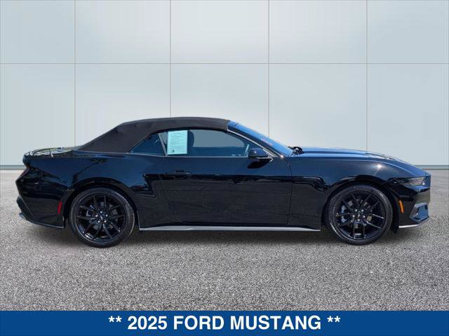 Certified 2025 Ford Mustang Convertible w/ Mustang Nite Pony Package RWD image 6